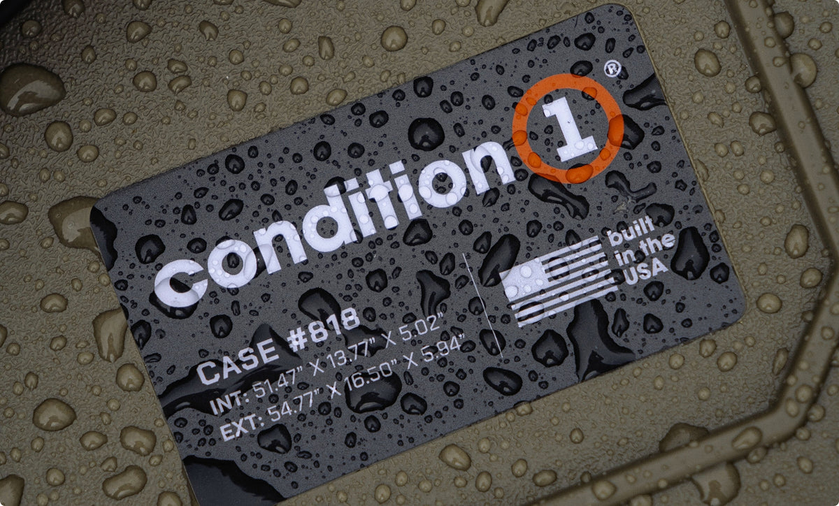 Condition 1 EU