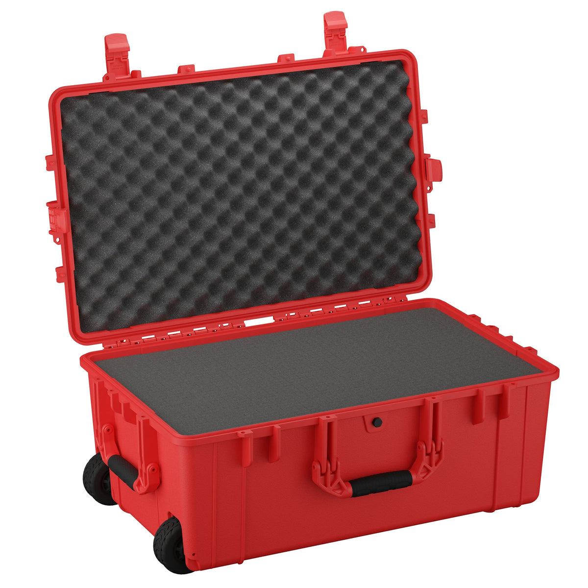 79 cm Wheeled Case #1258